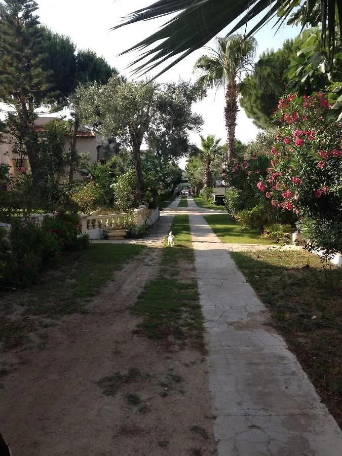 Contacten van Simpa Cesme Tatil Koeyue